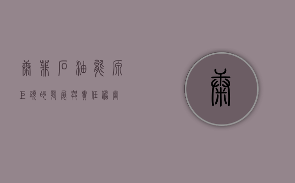 康菲石油，能源巨头的发展与责任担当