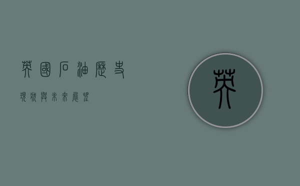 英国石油，历史、现状与未来展望