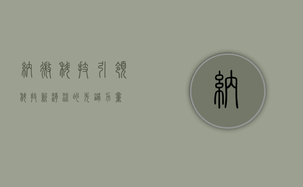纳微科技,引领科技新潮流的先锋力量