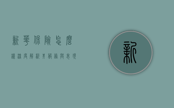 新华保险怎么样，深度解析其服务与表现