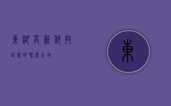东湖高新，科技创新的繁荣之地