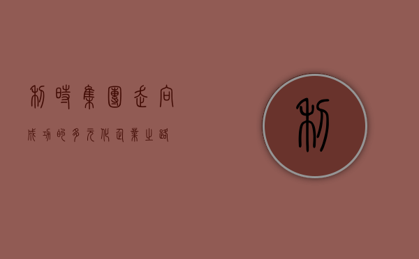 利时集团，走向成功的多元化企业之路