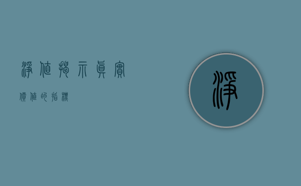 净值，揭示真实价值的指标