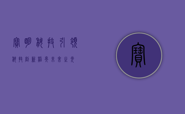 宝明科技,引领科技创新,照亮未来之光