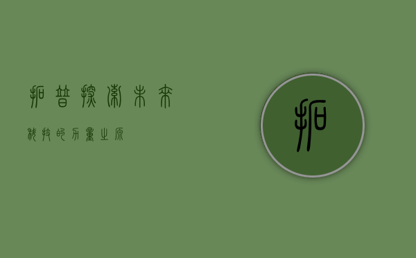 拓普，探索未来科技的力量之源