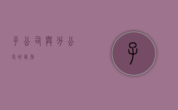 子公司与分公司的区别