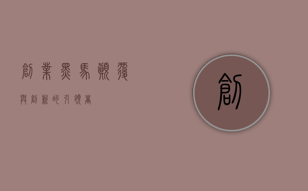 创业黑马，颠覆与创新的引领者