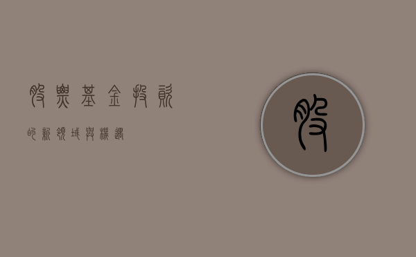 股票基金，投资的新领域与机遇