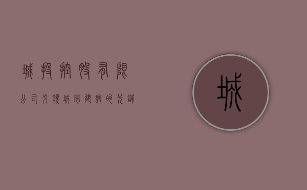 城投控股有限公司，引领城市建设的先锋力量