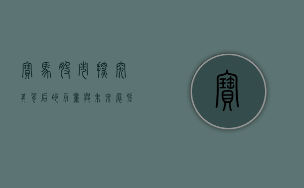 宝马股市，探究其背后的力量与未来展望