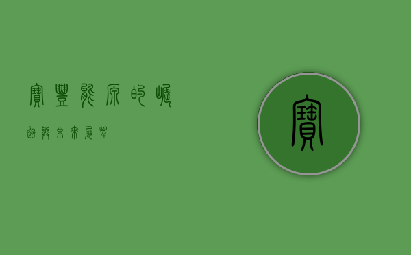 宝丰能源的崛起与未来展望