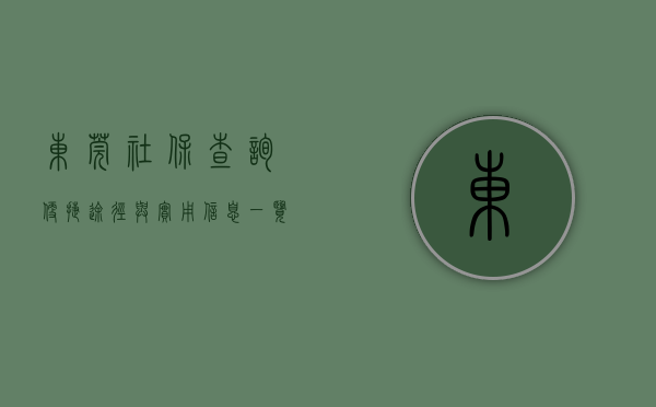 东莞社保查询，便捷途径与实用信息一览