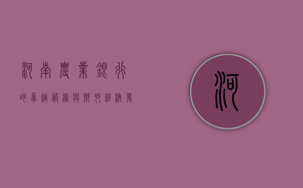 河南农业银行的卓越服务与乡村经济发展