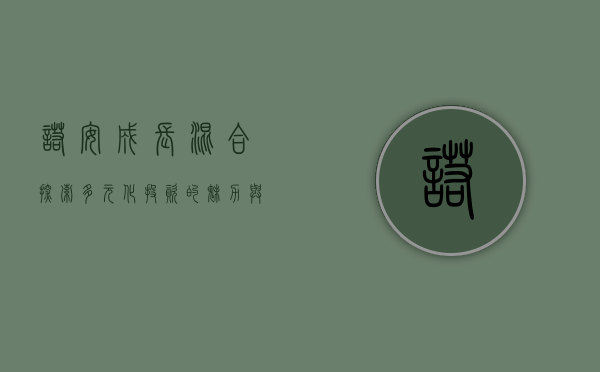 诺安成长混合，探索多元化投资的魅力与价值