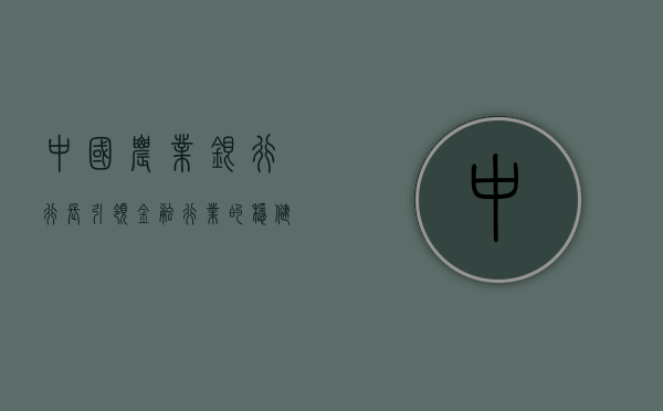 中国农业银行行长，引领金融行业的稳健前行