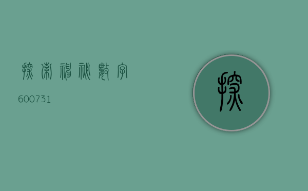 探索神秘数字，600731