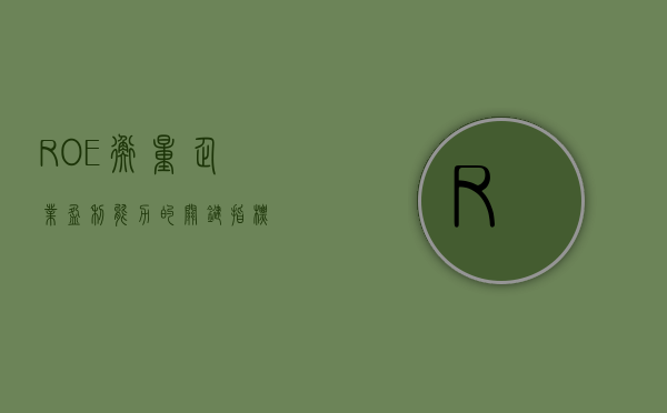 ROE，衡量企业盈利能力的关键指标
