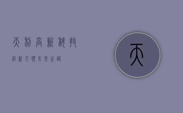 天利高新，科技创新引领未来之路