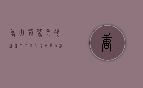 唐山港,繁荣的海洋门户与未来的发展机遇
