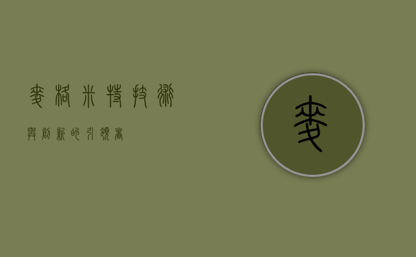 麦格米特，技术与创新的引领者