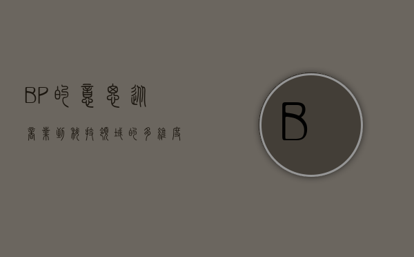 BP的意思，从商业到科技领域的多维度解读