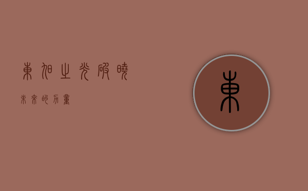 东旭之光，破晓未来的力量