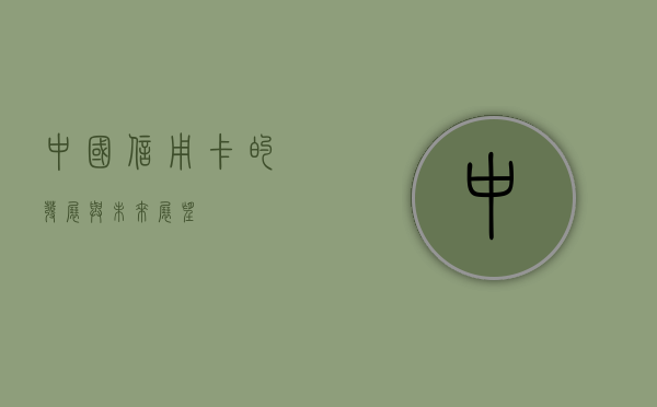 中国信用卡的发展与未来展望