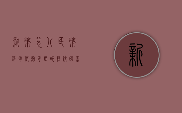 新币兑人民币汇率，波动背后的经济因素与影响