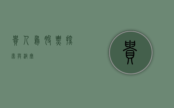 贵人鸟股票，探索与洞察