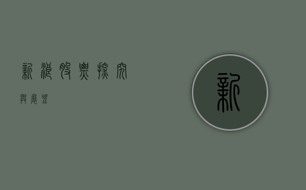 新浪股票，探究与展望