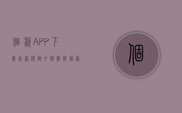 个税APP下载官网，便捷申报，智能服务