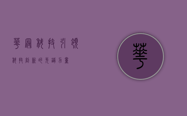 华冠科技,引领科技创新的先锋力量