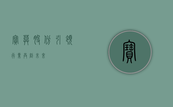 宝莫股份，引领行业，共创未来