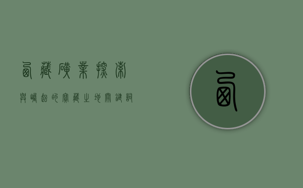 西藏矿业，探索与崛起的宝藏之地—关键词，000762