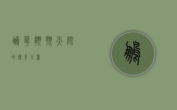 鹏华,翱翔天际的传奇力量