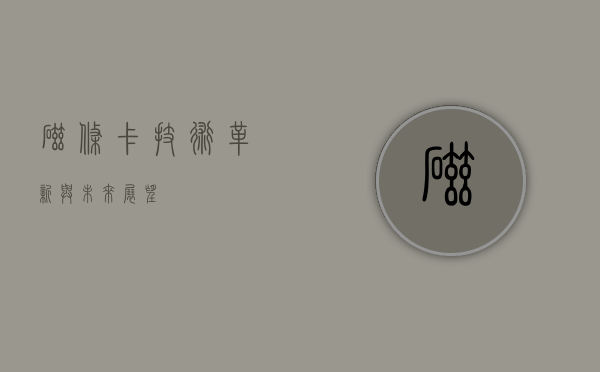 磁条卡，技术革新与未来展望