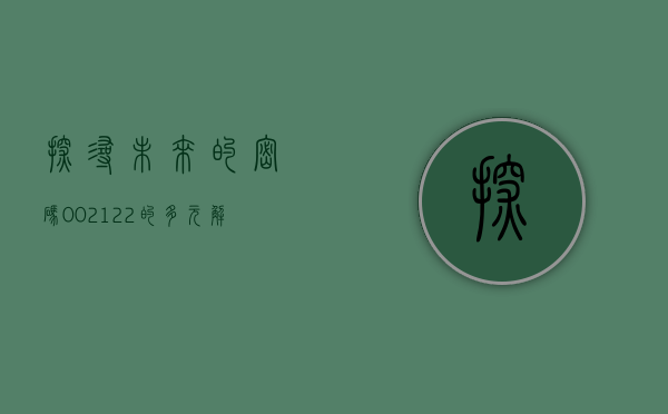 探寻未来的密码，002122的多元解读