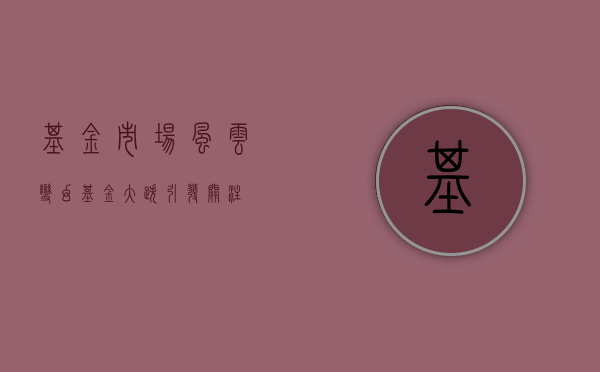 基金市场风云变幻，基金大跌引发关注