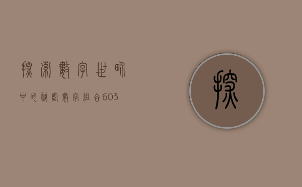 探索数字世界中的秘密，数字组合603833的意义与启示