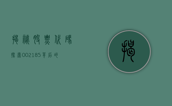 揭秘股票代码，探索002185背后的故事