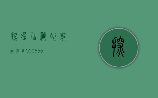 探寻神秘的数字组合—000666