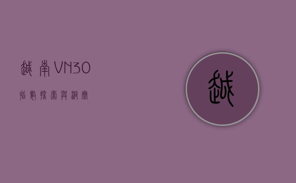 越南VN30指数，探索与洞察