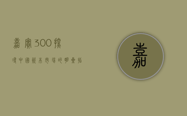 嘉实300，探寻中国资本市场的明星指数