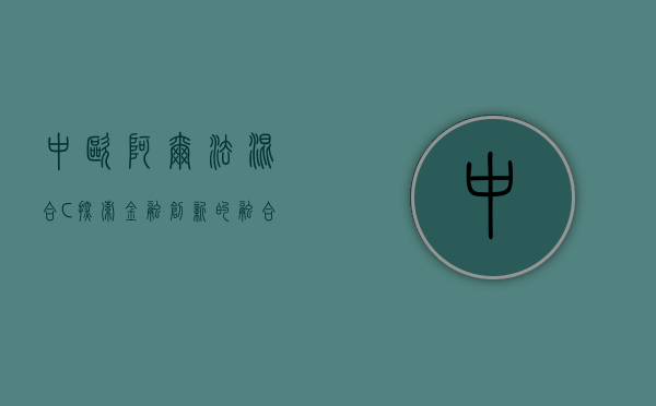 中欧阿尔法混合C，探索金融创新的融合之路