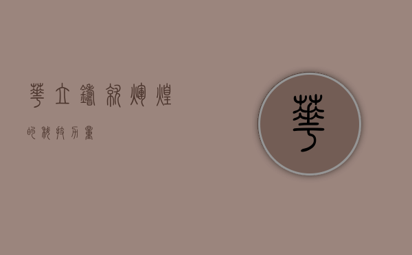 华立，铸就辉煌的科技力量