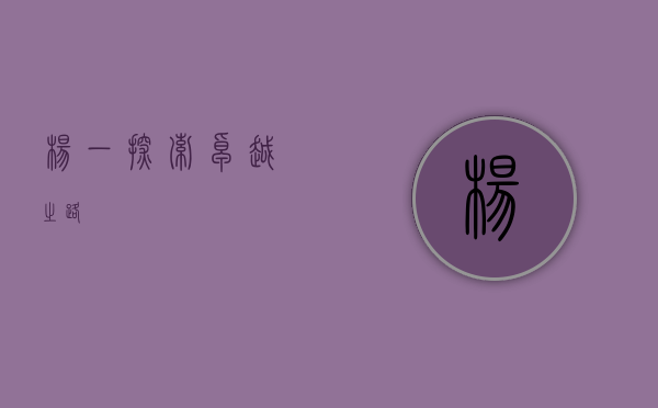 杨一，探索卓越之路