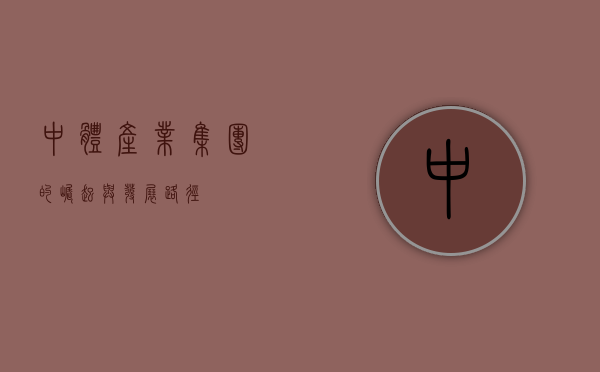 中体产业集团的崛起与发展路径