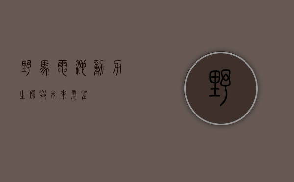 野马电池，动力之源与未来展望