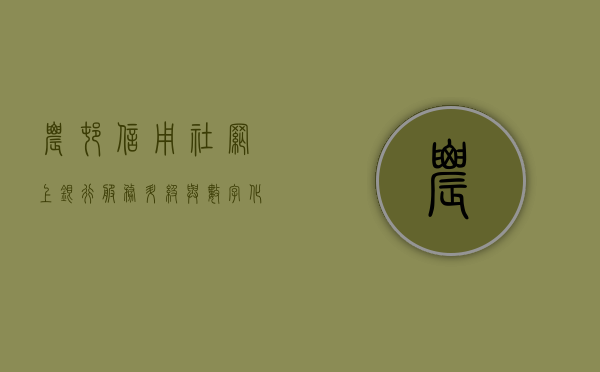 农村信用社网上银行，服务升级与数字化转型的典范