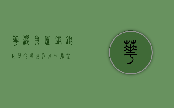 华菱集团，钢铁巨擘的崛起与未来展望